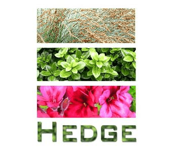 Hedge Garden Design & Nursery