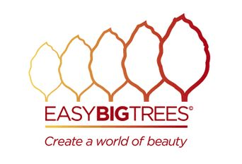 Easy Big Trees