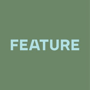 Feature Landscapes