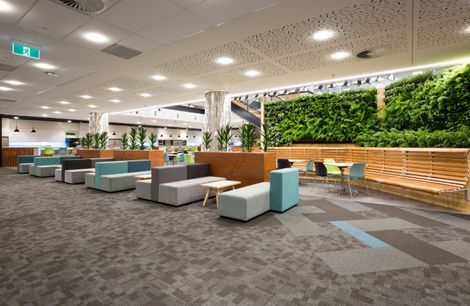 Datacom Auckland