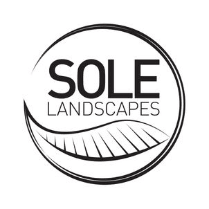 Sole Landscapes