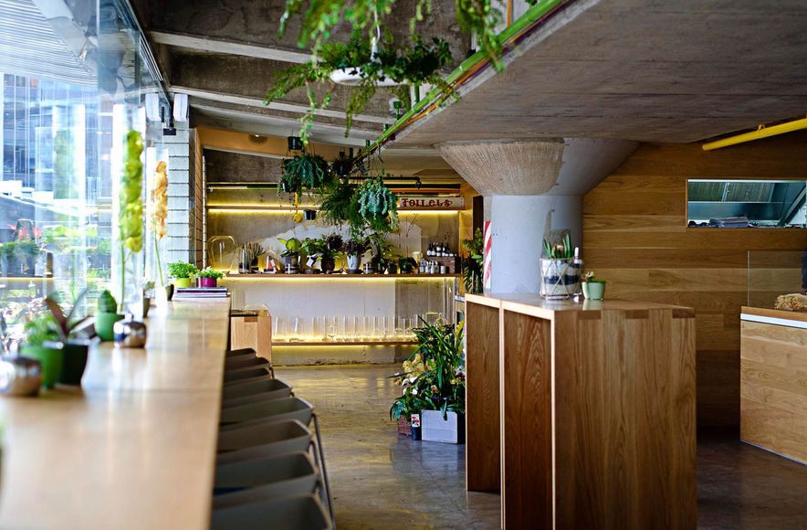 The Botanist
