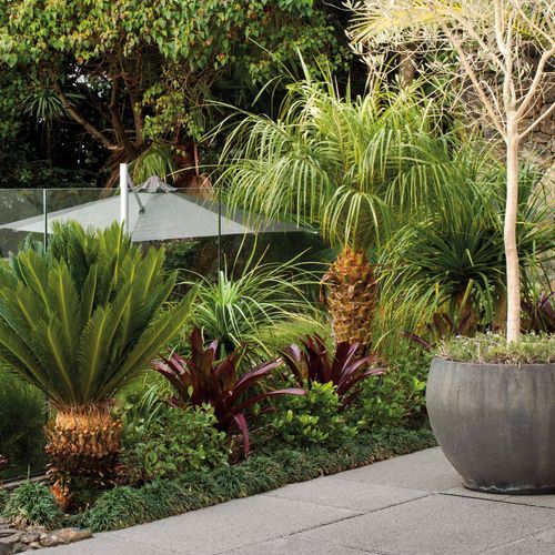 Firth Classic Collection Paving -  Piazza®