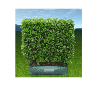Twining Valley Nurseries