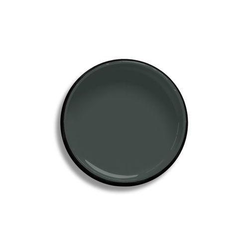 Resene Midnight Moss