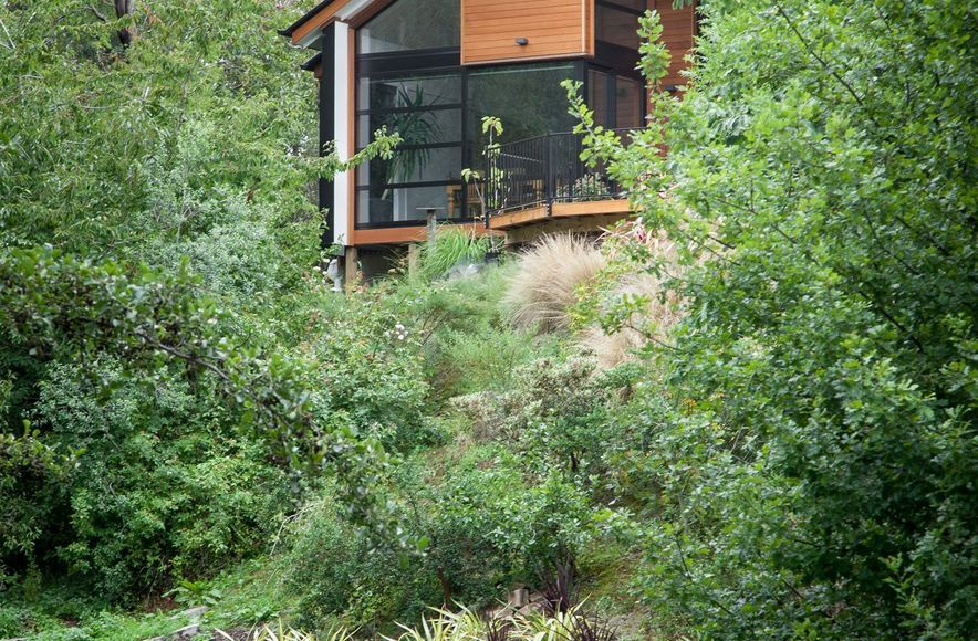 Woodland Cottage