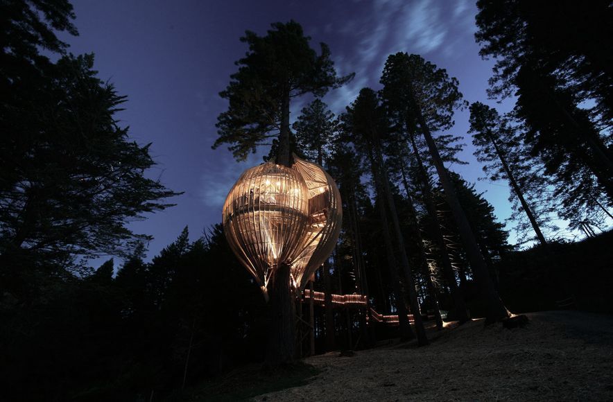 Yellow Treehouse Restaurant