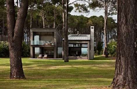 The Pines