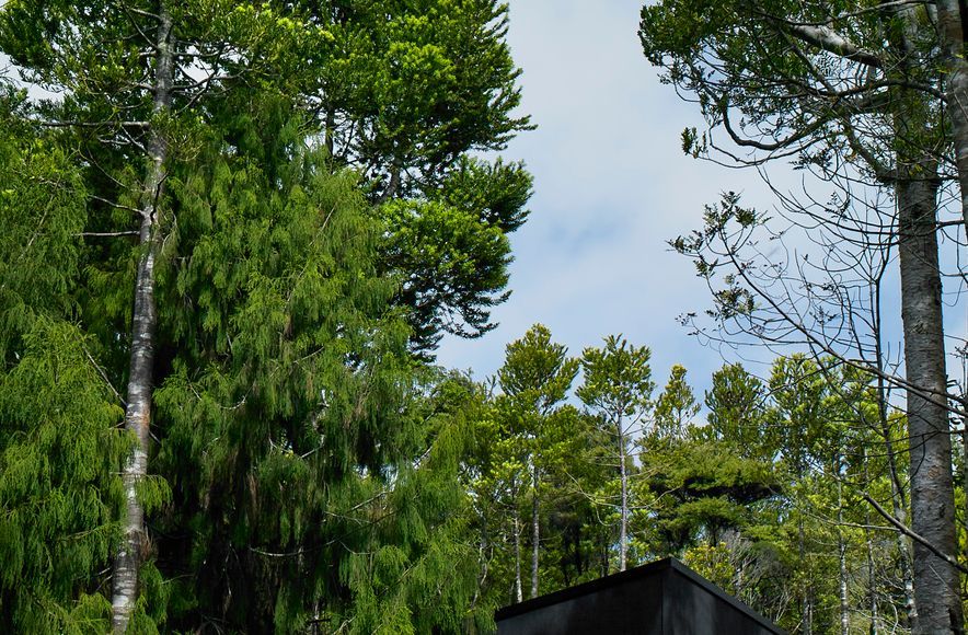 Te Aute Ridge House