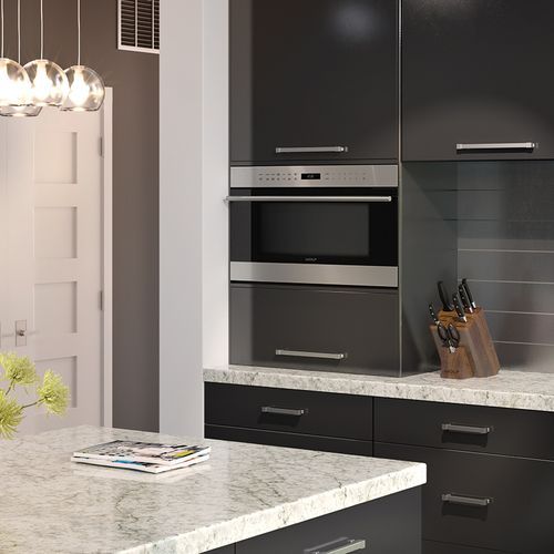 Transitional Convection steam Oven W.760 by Wolf