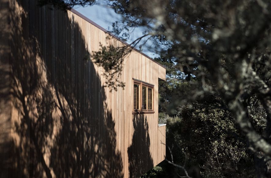 Tree House