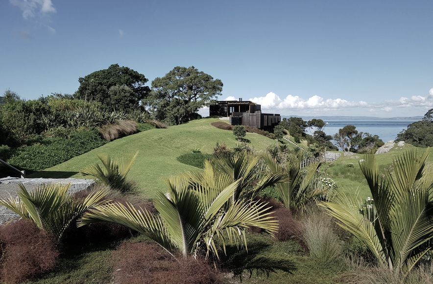 Coastal Native Garden - Castlerock