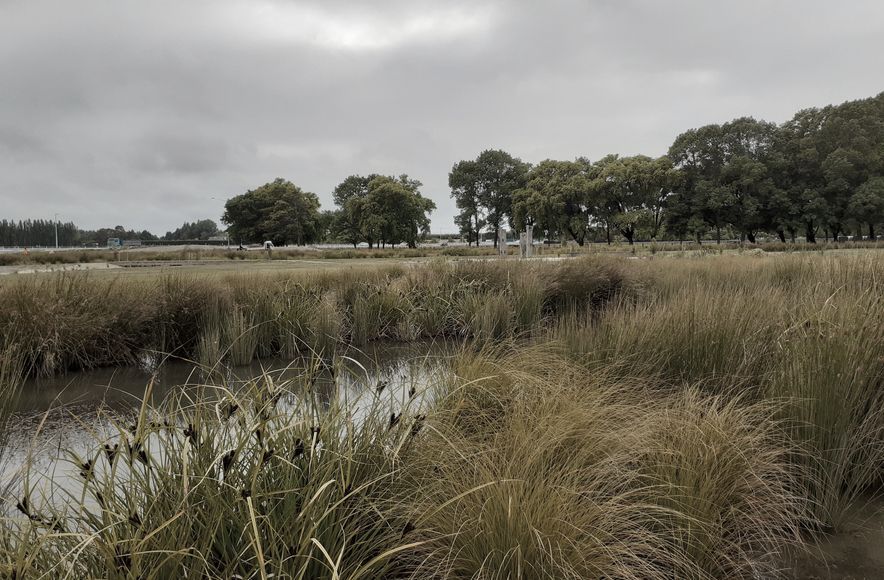 Buller Stream Stormwater Facility 