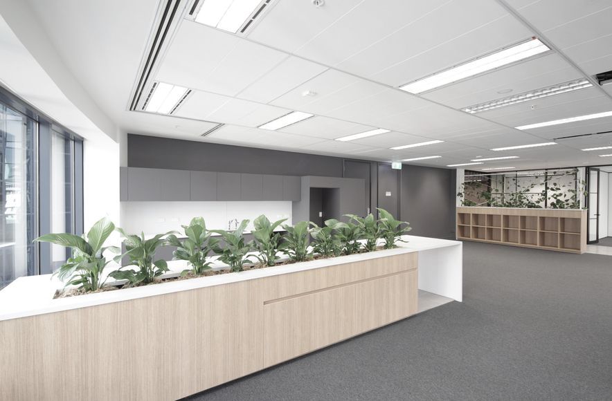 205 Queen St | Show Suite