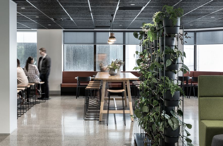 AMP Level 20 Cafe