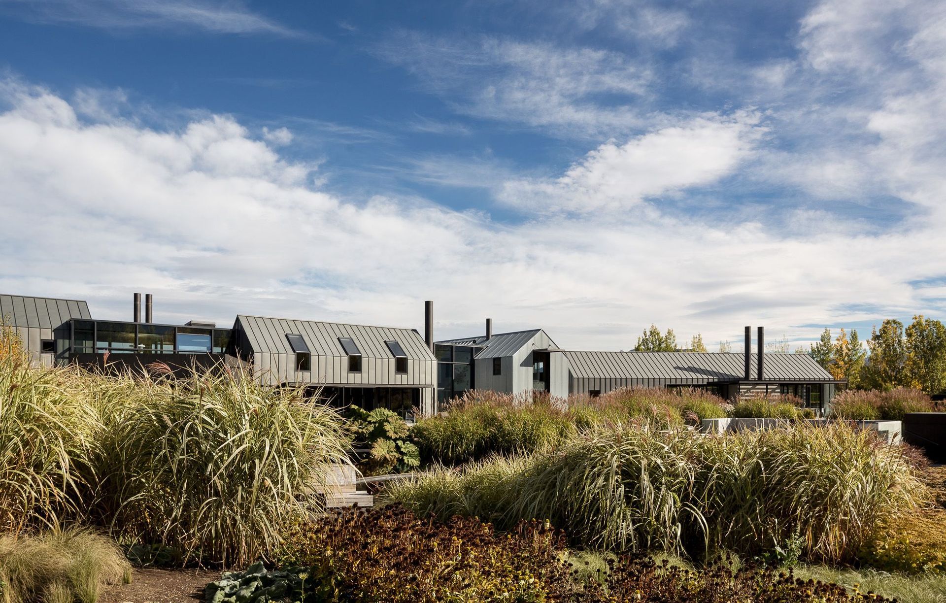 Anna-Marie Chin Architects