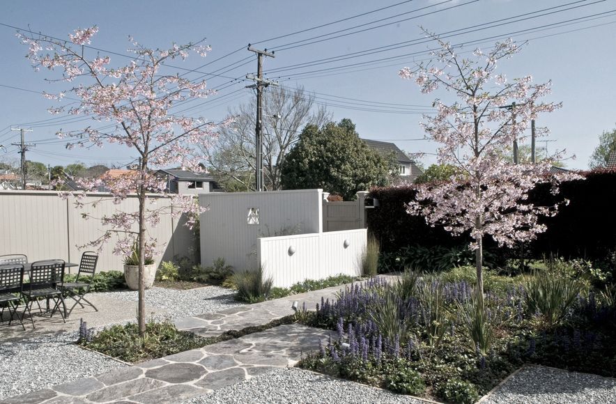 Auckland Courtyard Garden