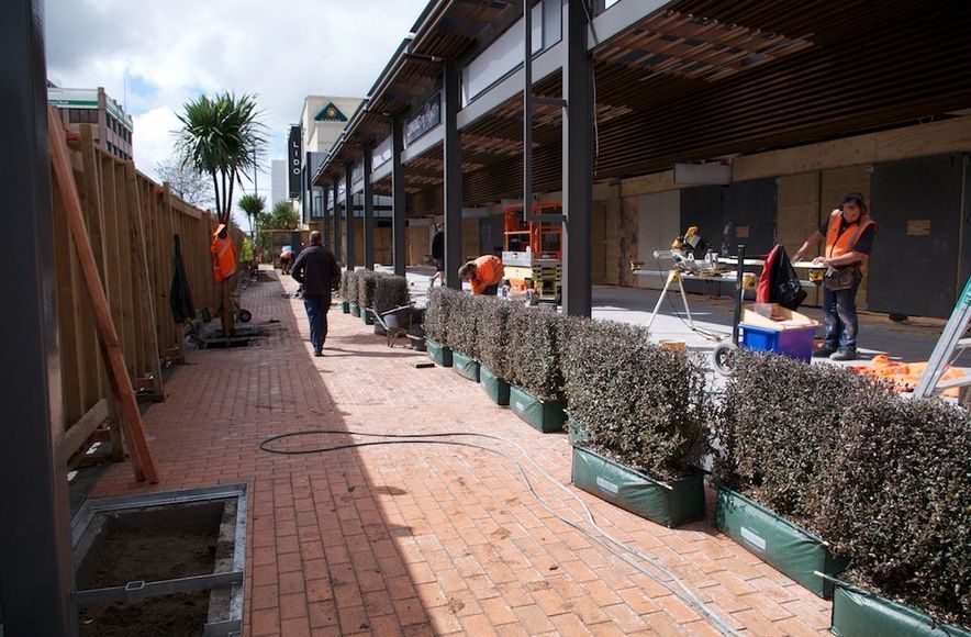 Hedges for Commercial, Civic And Hospitality Projects