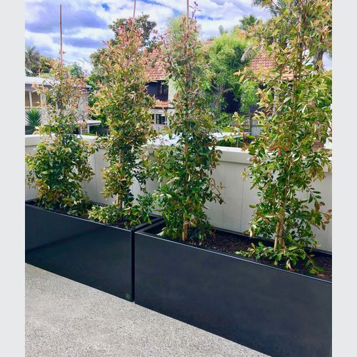 Black Powdercoated Trough 1200 Planter