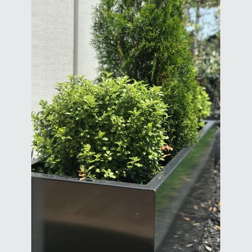 Black Powdercoated Trough Planter 1400
