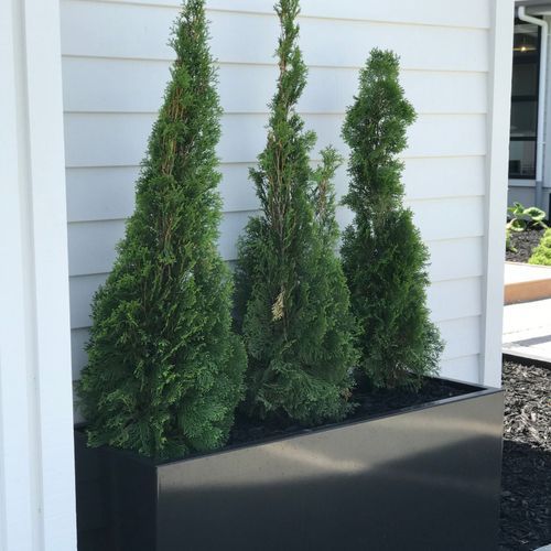 Black Powdercoated Trough Planter 1400