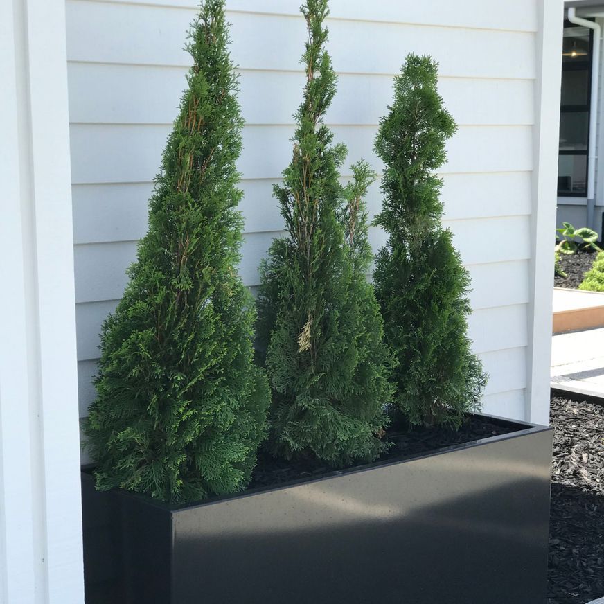 Black Powdercoated Trough Planter 1400
