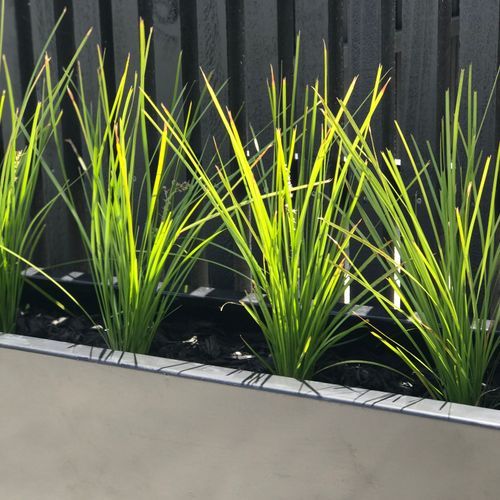 Black Tall Trough 1200 Planter