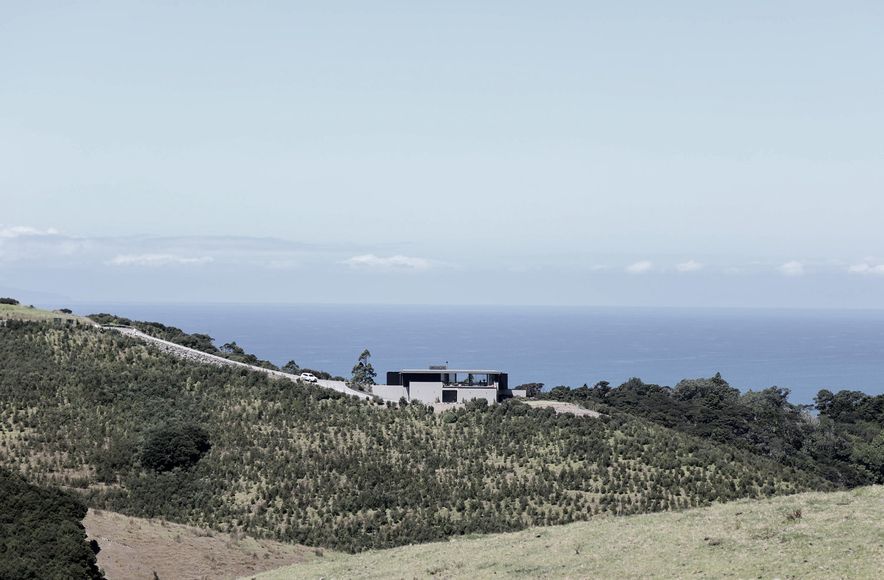 Breamtail House: a coastal idyll