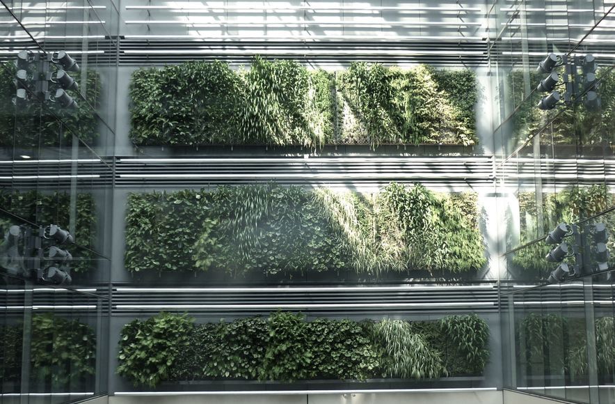 Britomart Green Wall