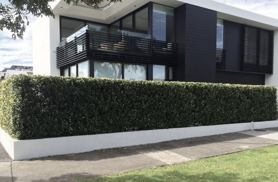 Build A Hedge – How It's Done!