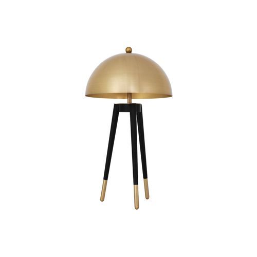 Coyote Table Lamp