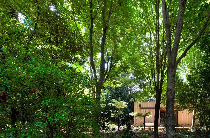 The Chemis Cabin