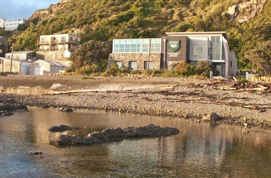 Coastal Ecology Laboratory
