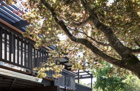 Mid-century turned modern:   GR House