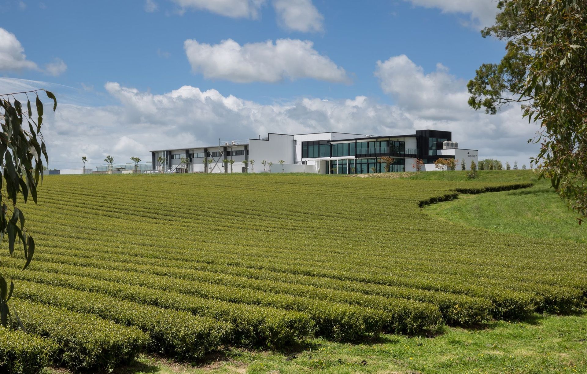 DLA Architects