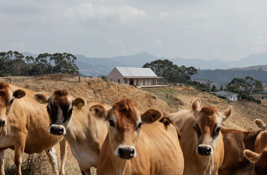 Karangahake House: A Silver Barn on the Edge of the Forest
