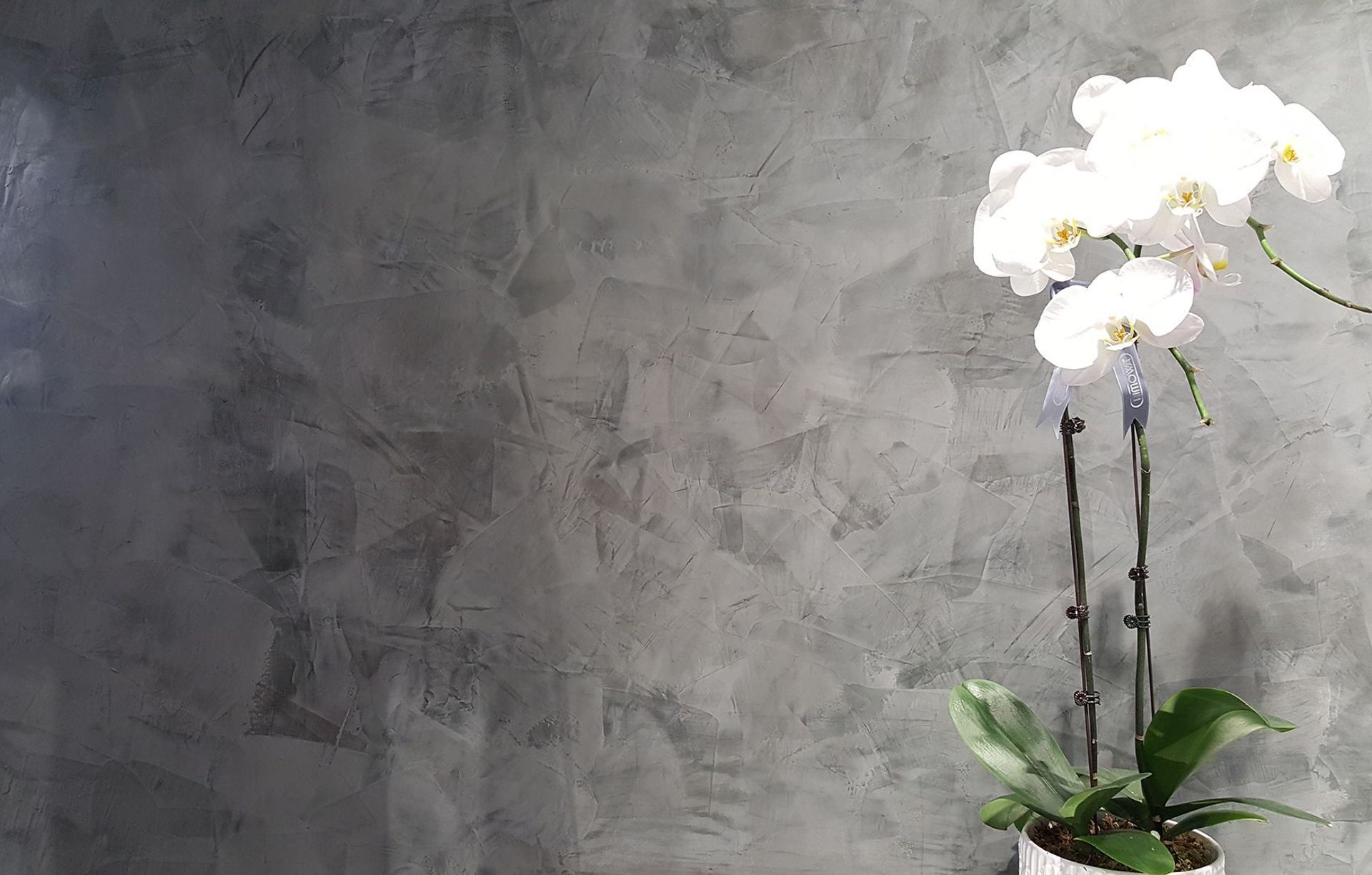 Dowd Concrete + Plaster