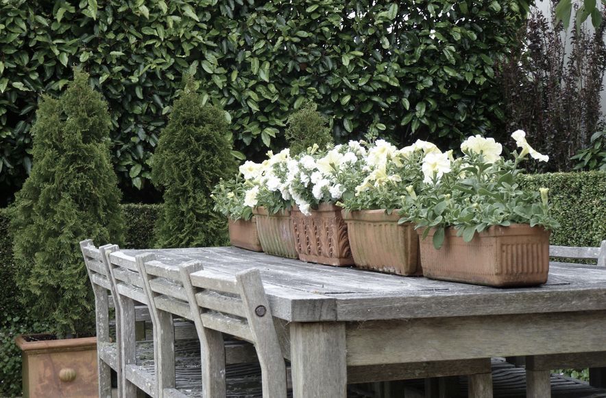 Central Tce: elegant garden