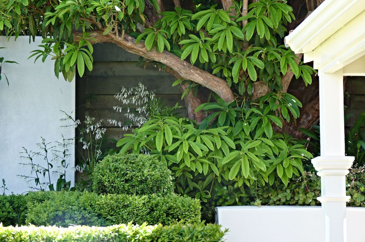 Central Tce: elegant garden