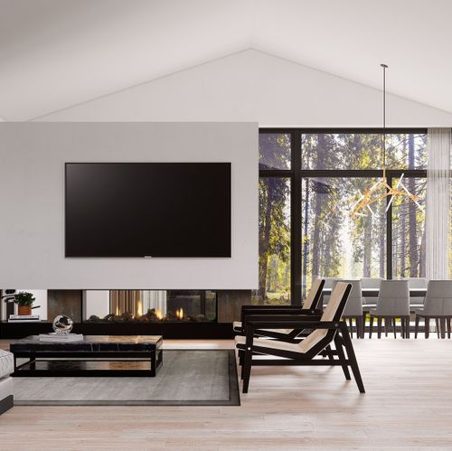 Escea DS1650 High Output Frameless Gas Fireplace