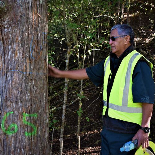 JSC Farm Totara