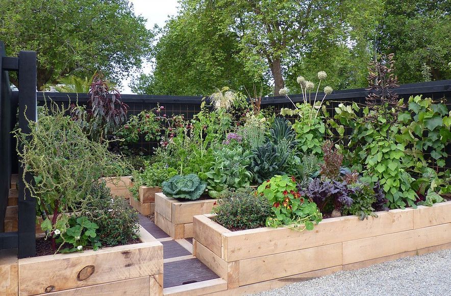 Gone to Seed: gold medal vege