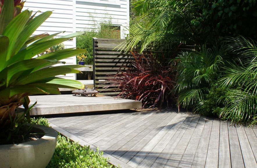 Grey Lynn Garden  