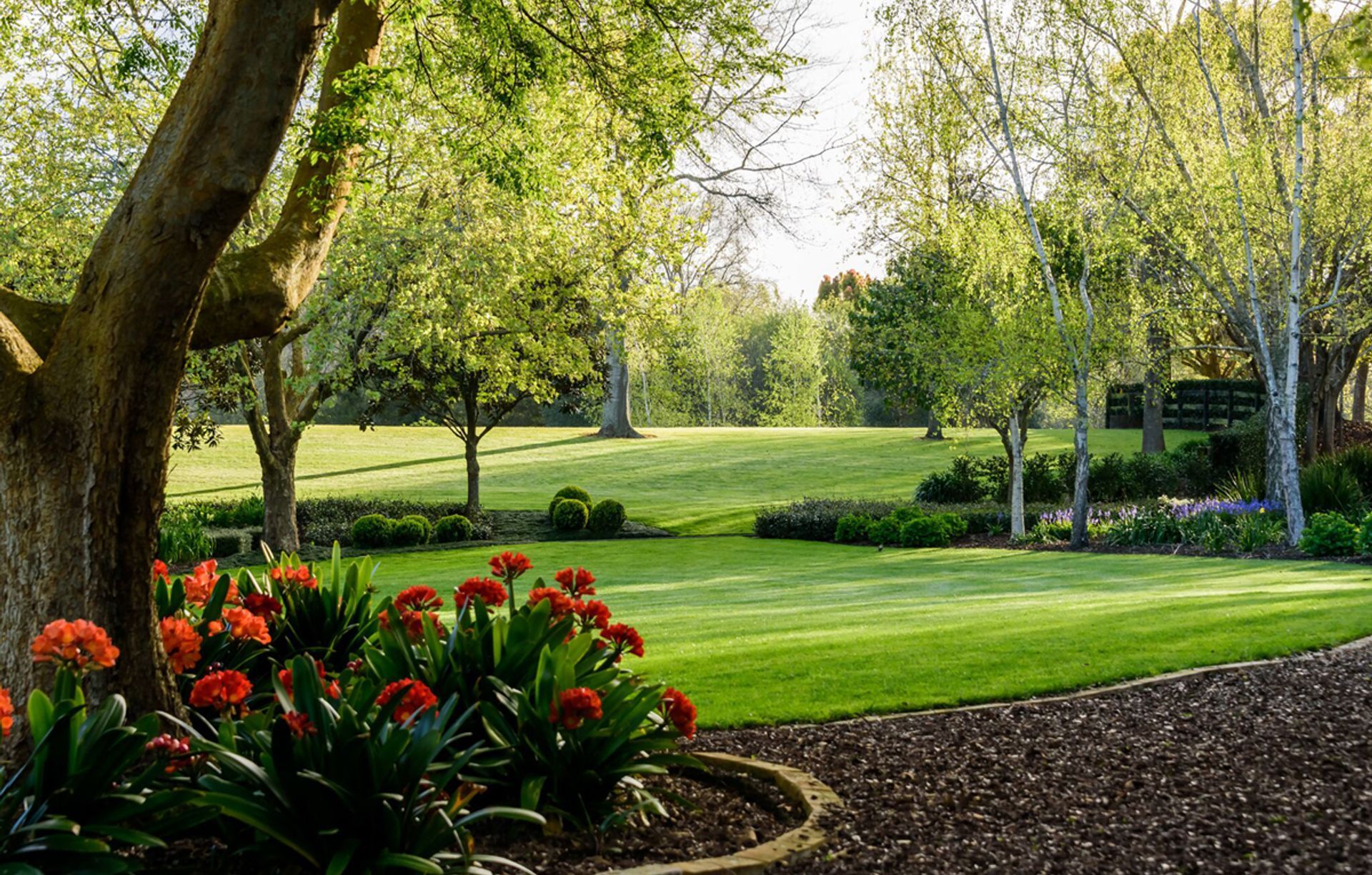 Guy Brackebush Landscape Architect