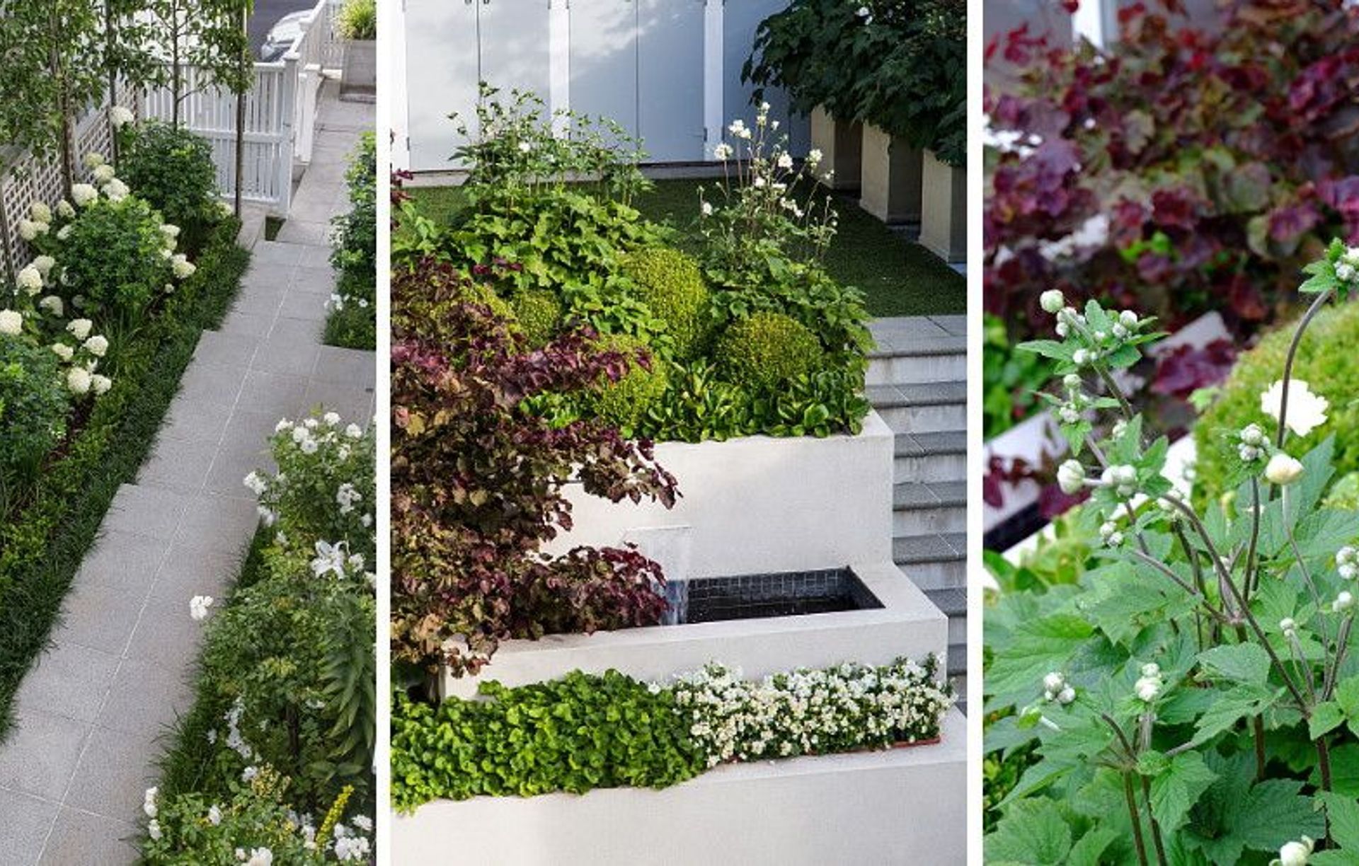 Hedge Garden Design & Nursery