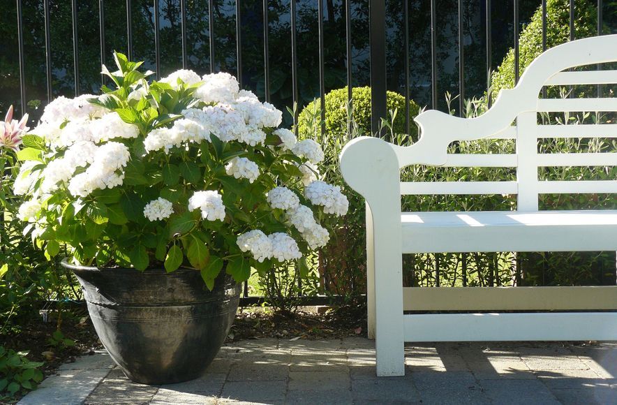 Highwic: formal apartment garden