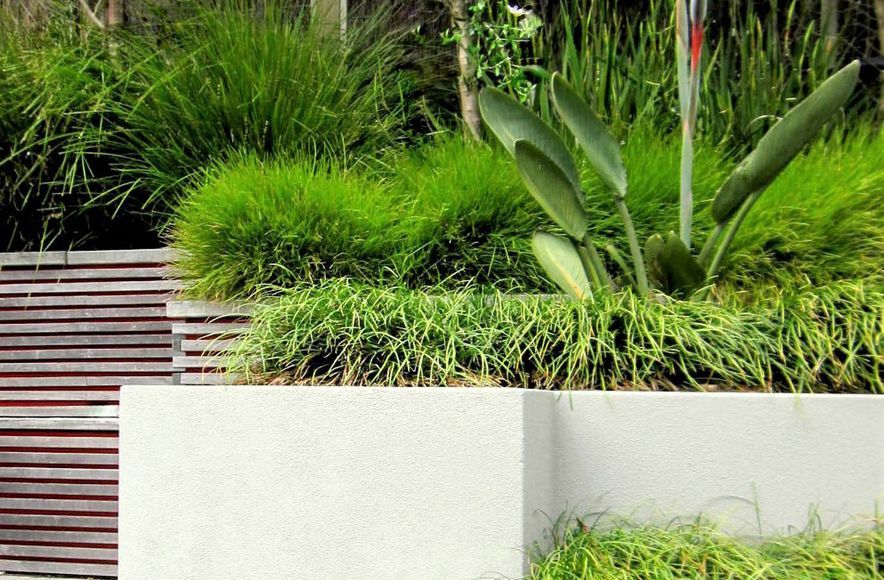 Hillsborough Garden