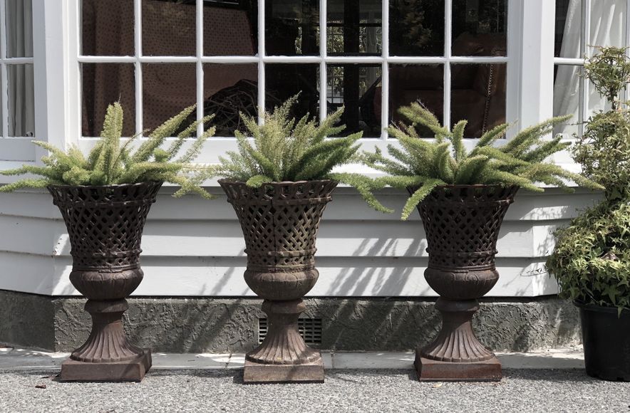 Izard: the designer's current garden
