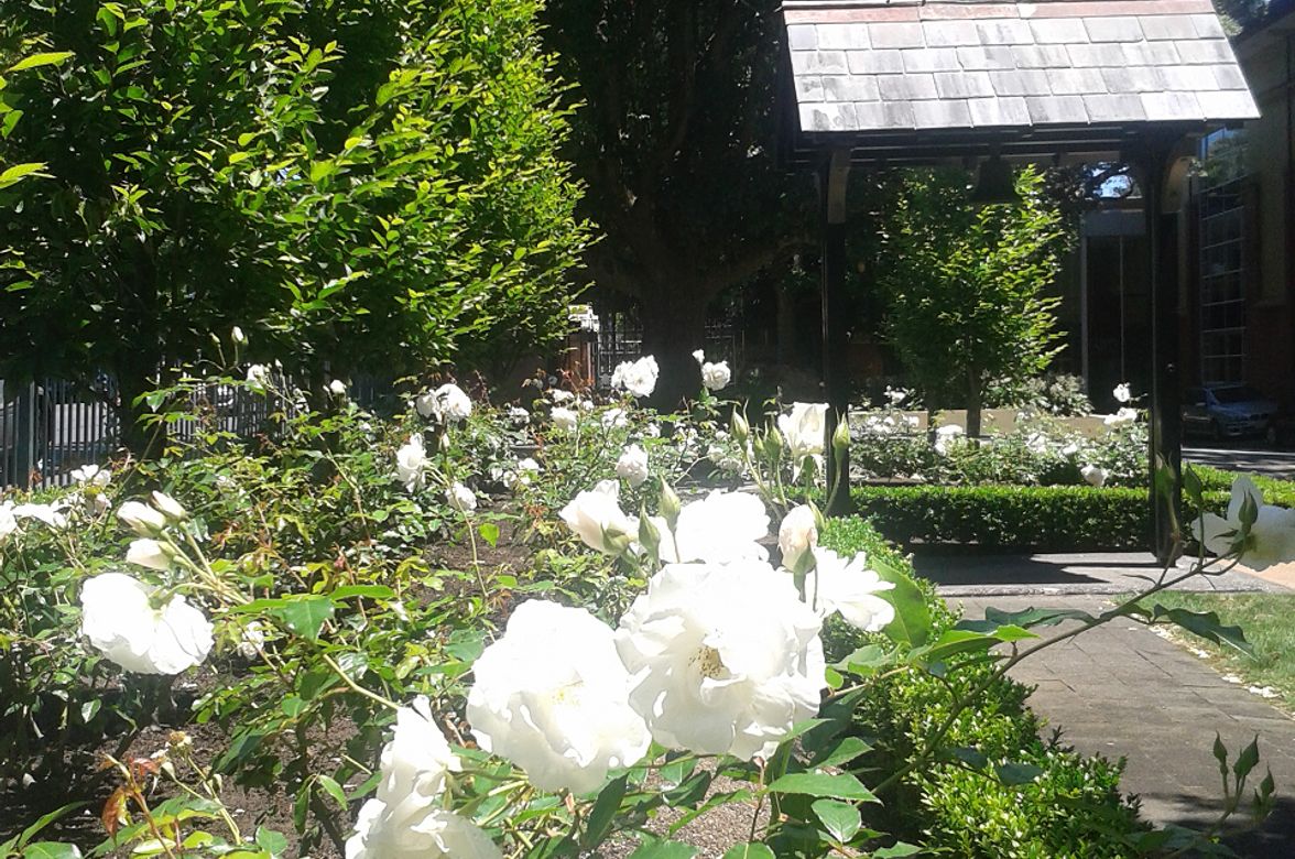 King's School Remuera | Auckland