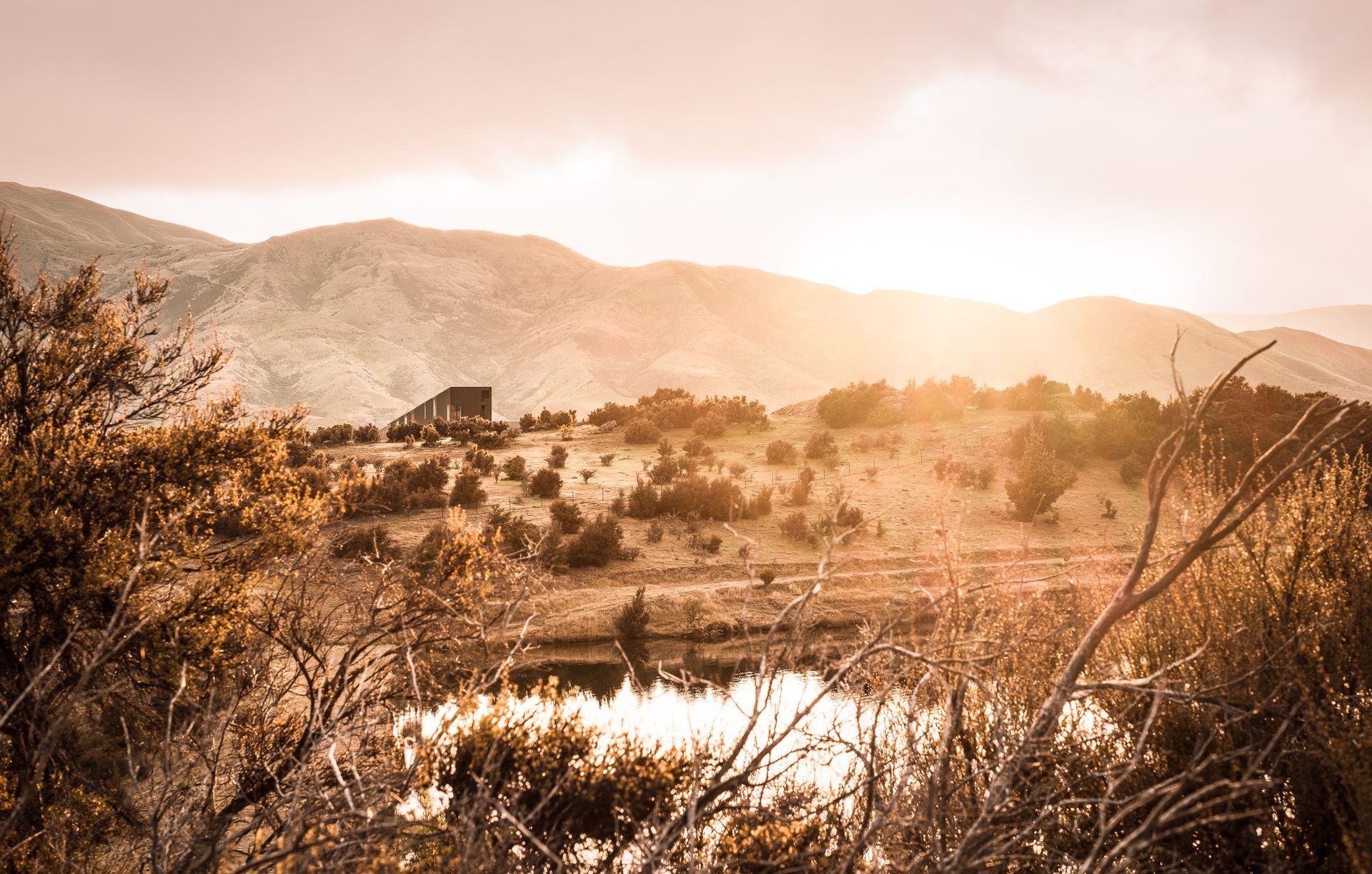 Lightforge Photography